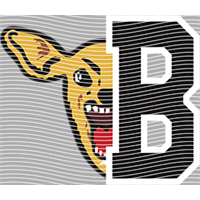 Brand Catalog-ZX 356